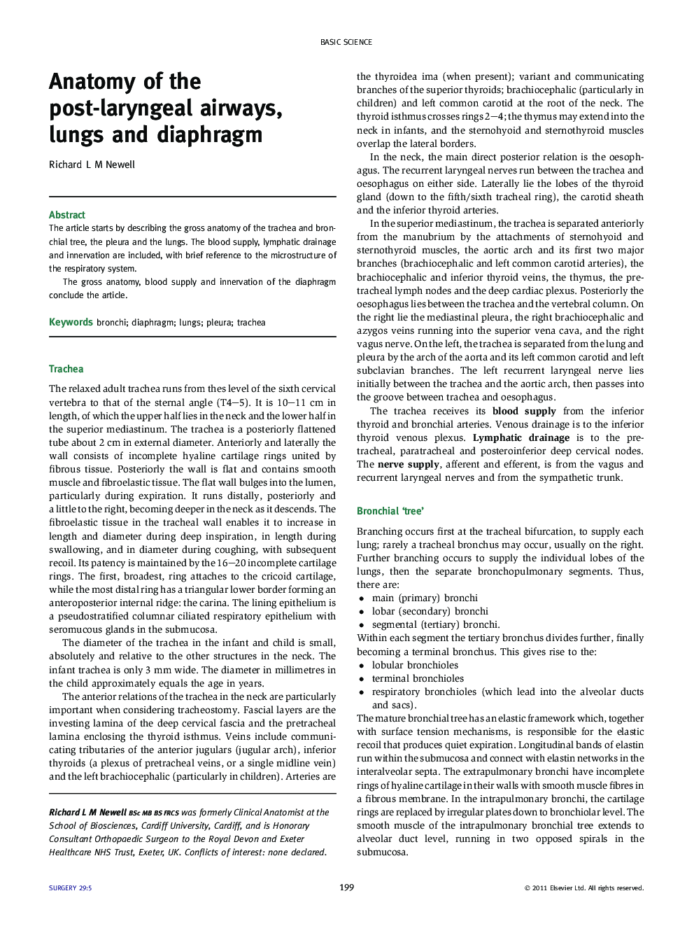 Anatomy of the post-laryngeal airways, lungs and diaphragm