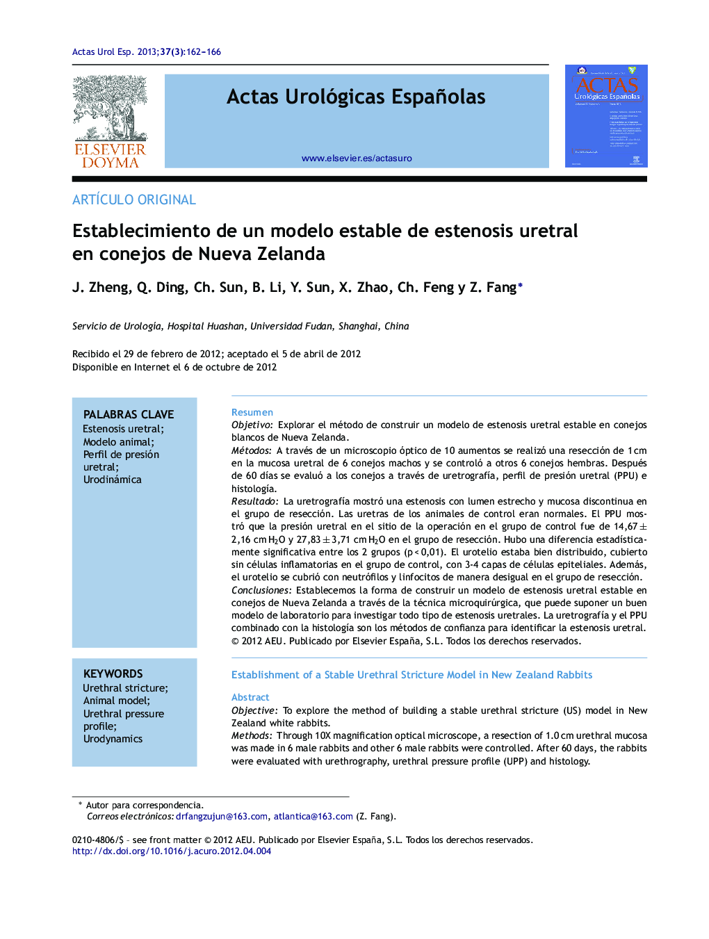 Establecimiento de un modelo estable de estenosis uretral en conejos de Nueva Zelanda