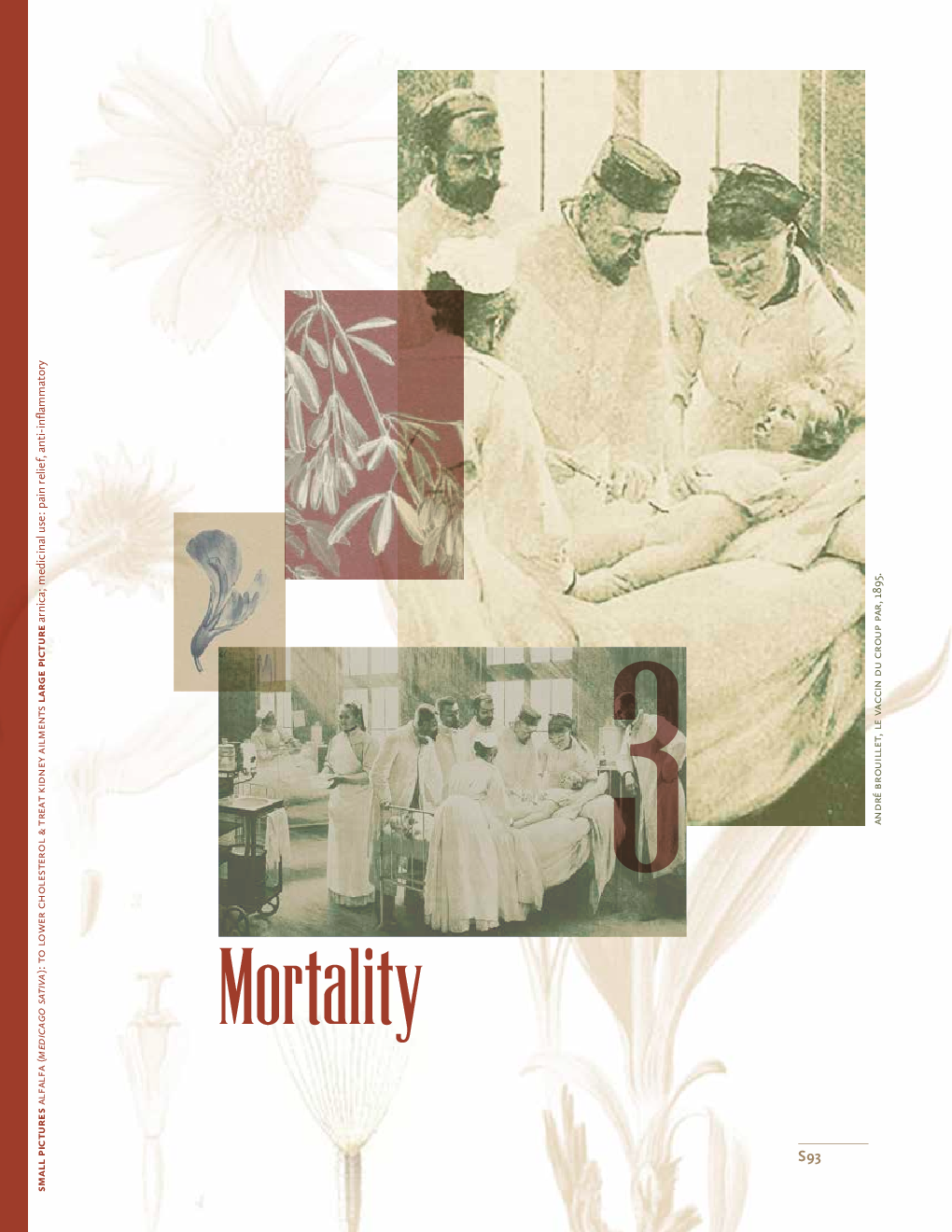 Chapter 3: Mortality