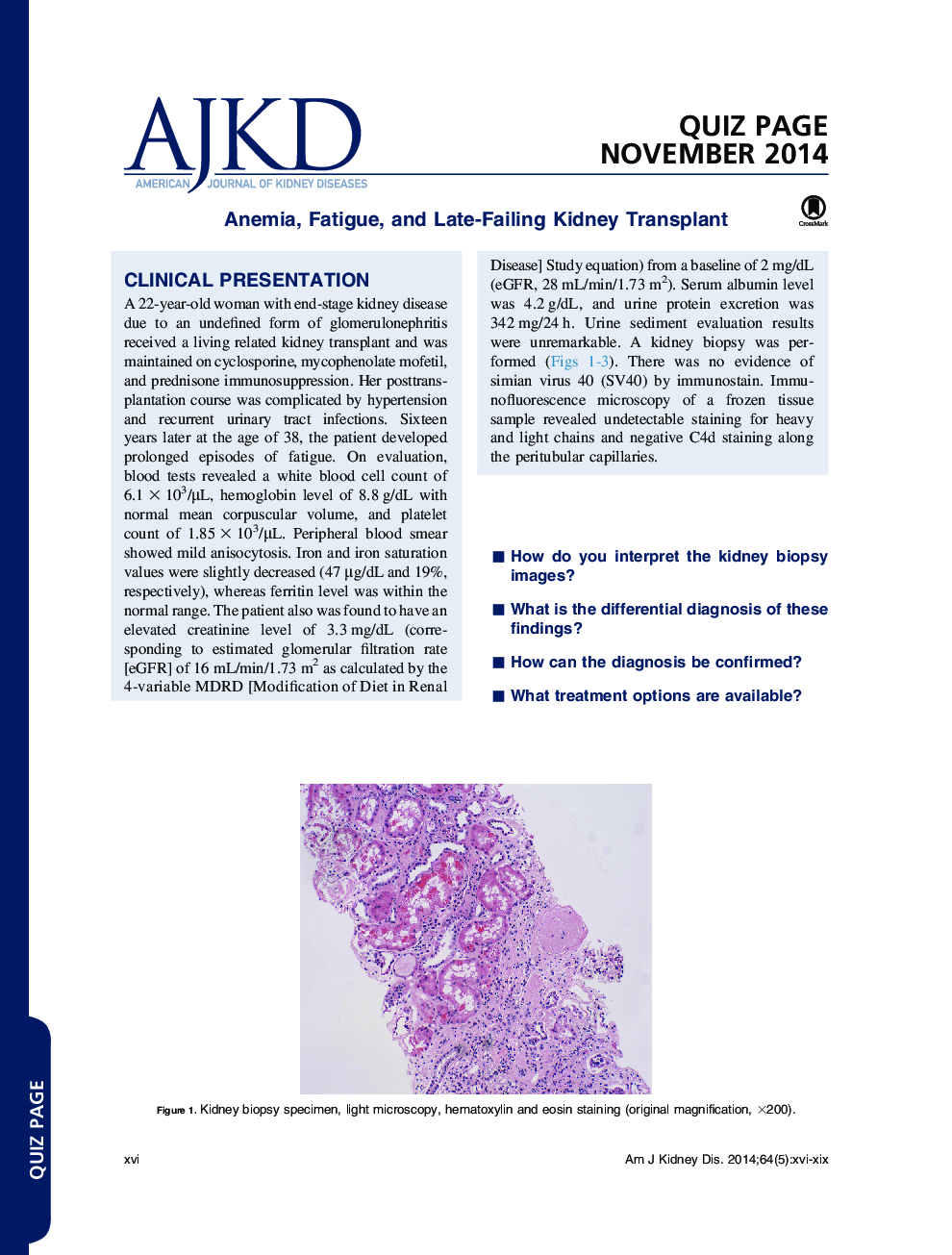 Quiz Page November 2014