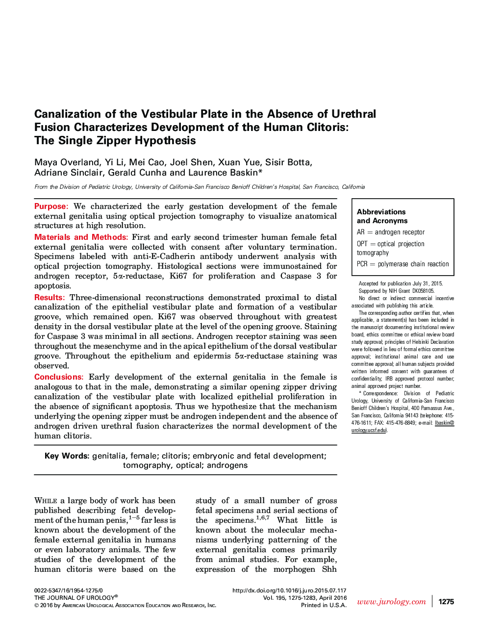 Canalization of the Vestibular Plate in the Absence of Urethral Fusion Characterizes Development of the Human Clitoris: The Single Zipper Hypothesis 