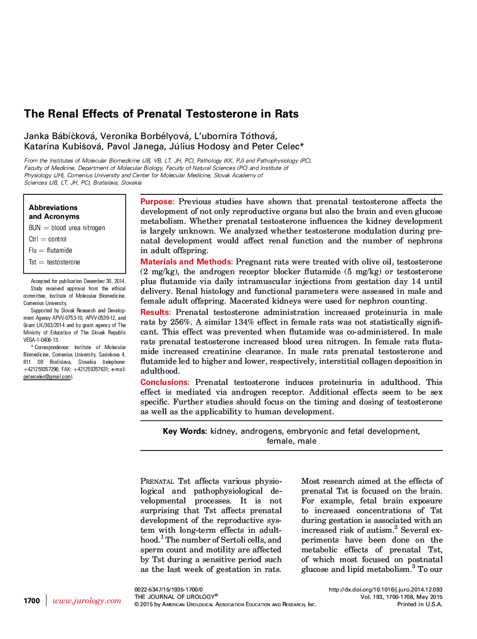 The Renal Effects of Prenatal Testosterone in Rats