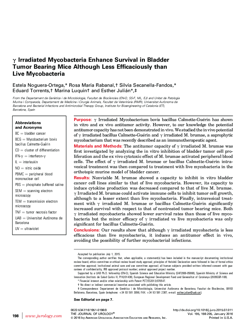 γ Irradiated Mycobacteria Enhance Survival in Bladder Tumor Bearing Mice Although Less Efficaciously than Live Mycobacteria 
