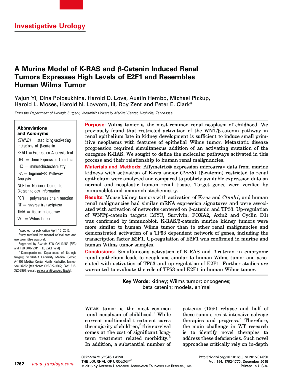 A Murine Model of K-RAS and β-Catenin Induced Renal Tumors Expresses High Levels of E2F1 and Resembles Human Wilms Tumor 