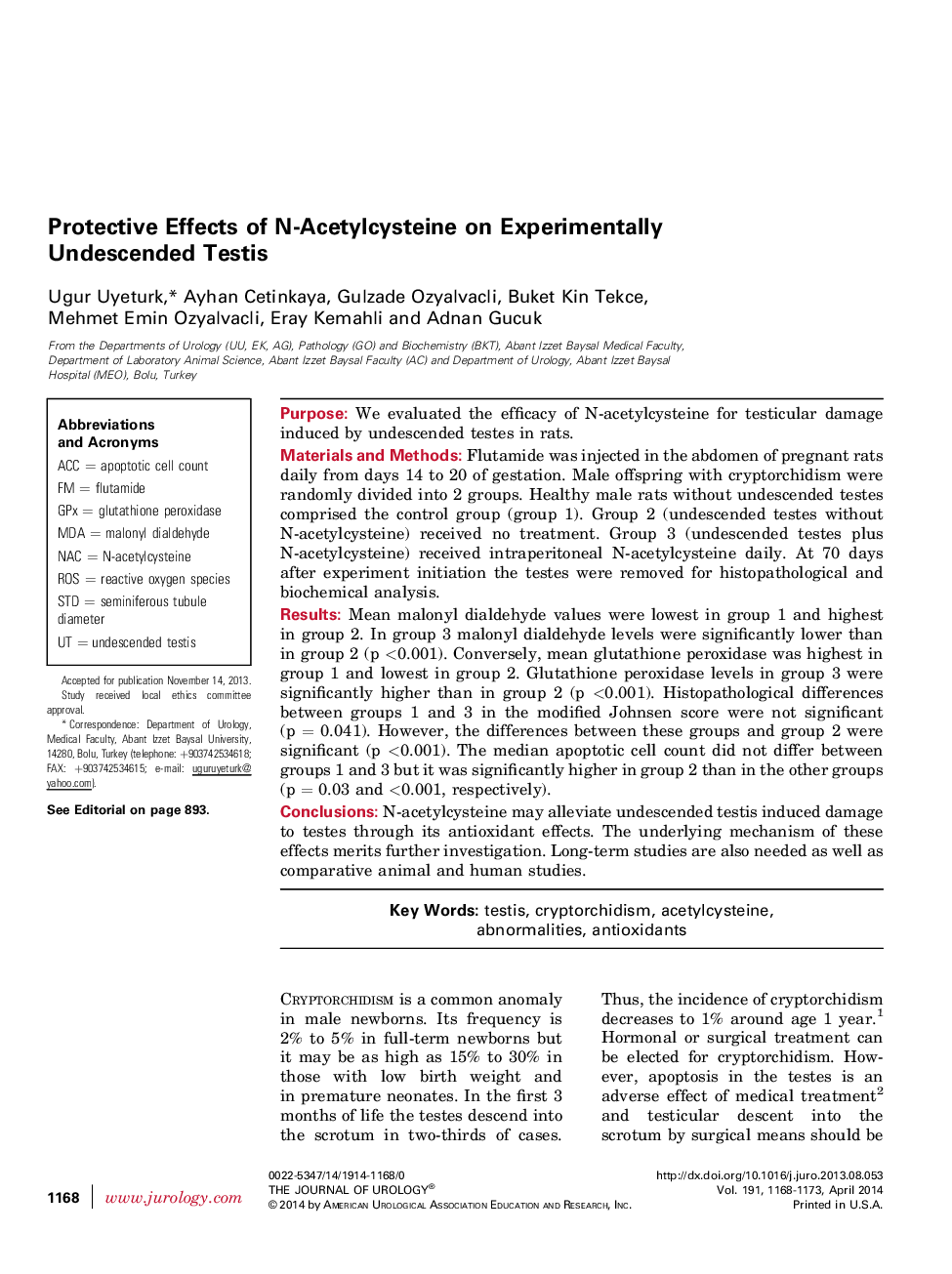 Protective Effects of N-Acetylcysteine on Experimentally Undescended Testis