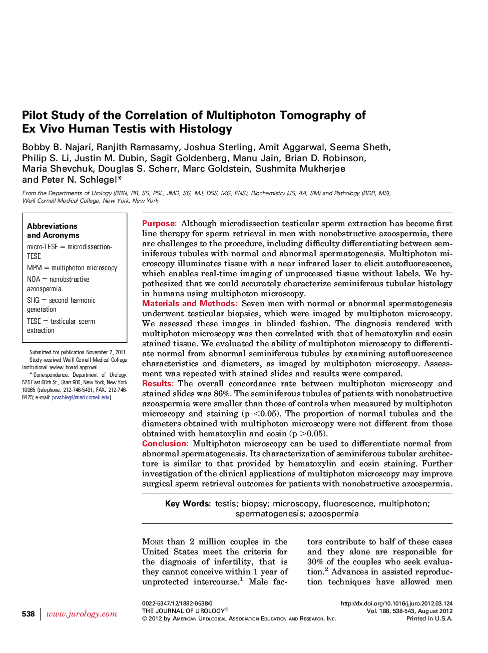 Pilot Study of the Correlation of Multiphoton Tomography of Ex Vivo Human Testis with Histology 