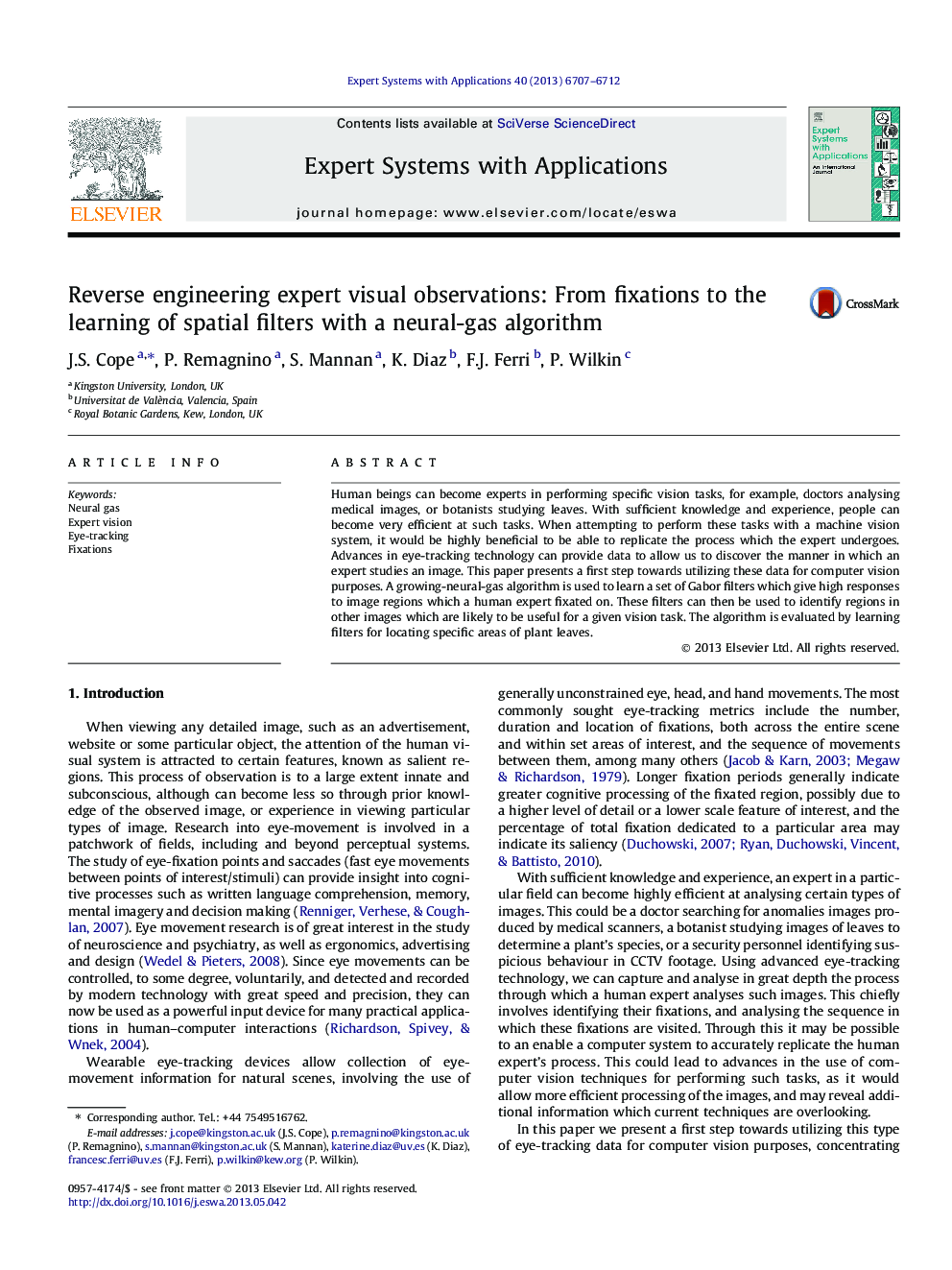 Reverse engineering expert visual observations: From fixations to the learning of spatial filters with a neural-gas algorithm