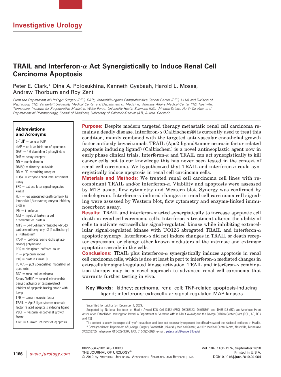 TRAIL and Interferon-Î± Act Synergistically to Induce Renal Cell Carcinoma Apoptosis