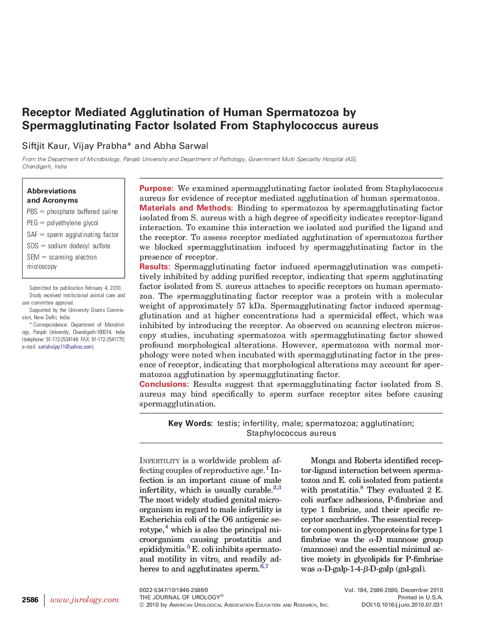 Receptor Mediated Agglutination of Human Spermatozoa by Spermagglutinating Factor Isolated From Staphylococcus aureus 