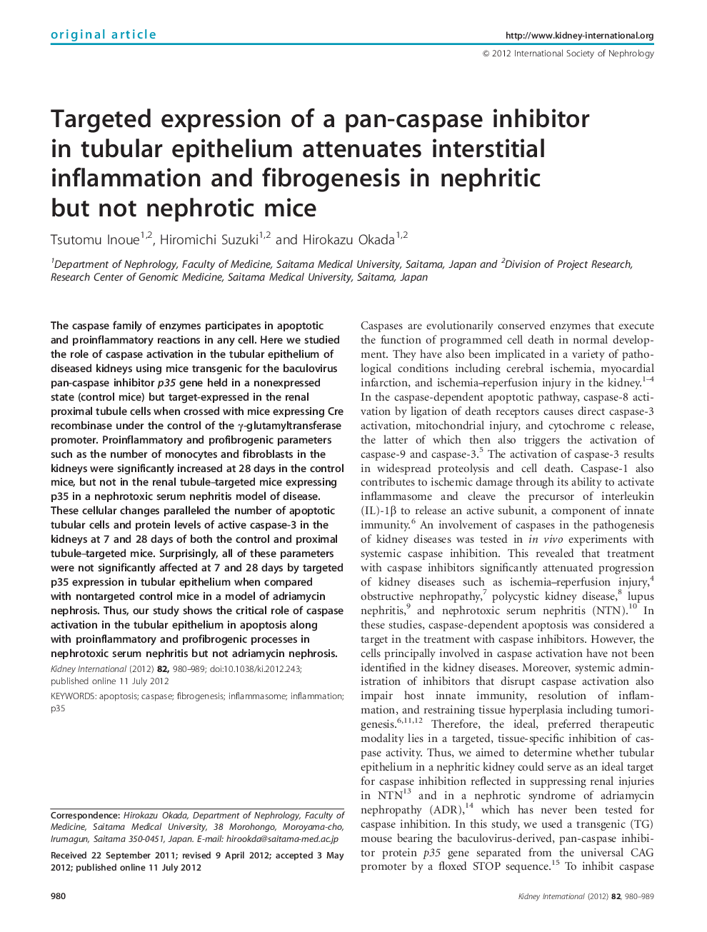 Targeted expression of a pan-caspase inhibitor in tubular epithelium attenuates interstitial inflammation and fibrogenesis in nephritic but not nephrotic mice 