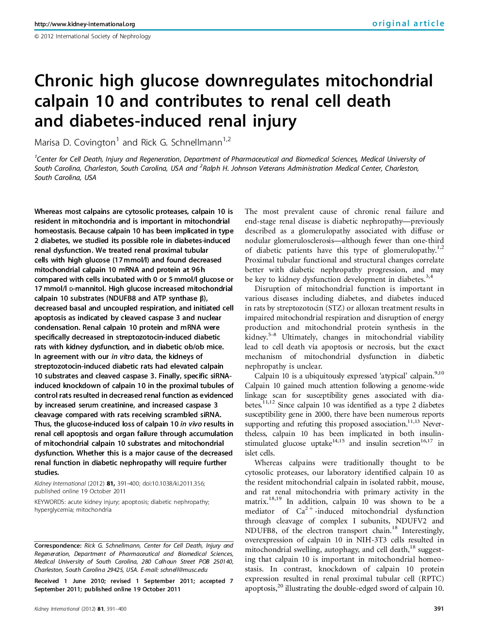 Chronic high glucose downregulates mitochondrial calpain 10 and contributes to renal cell death and diabetes-induced renal injury 