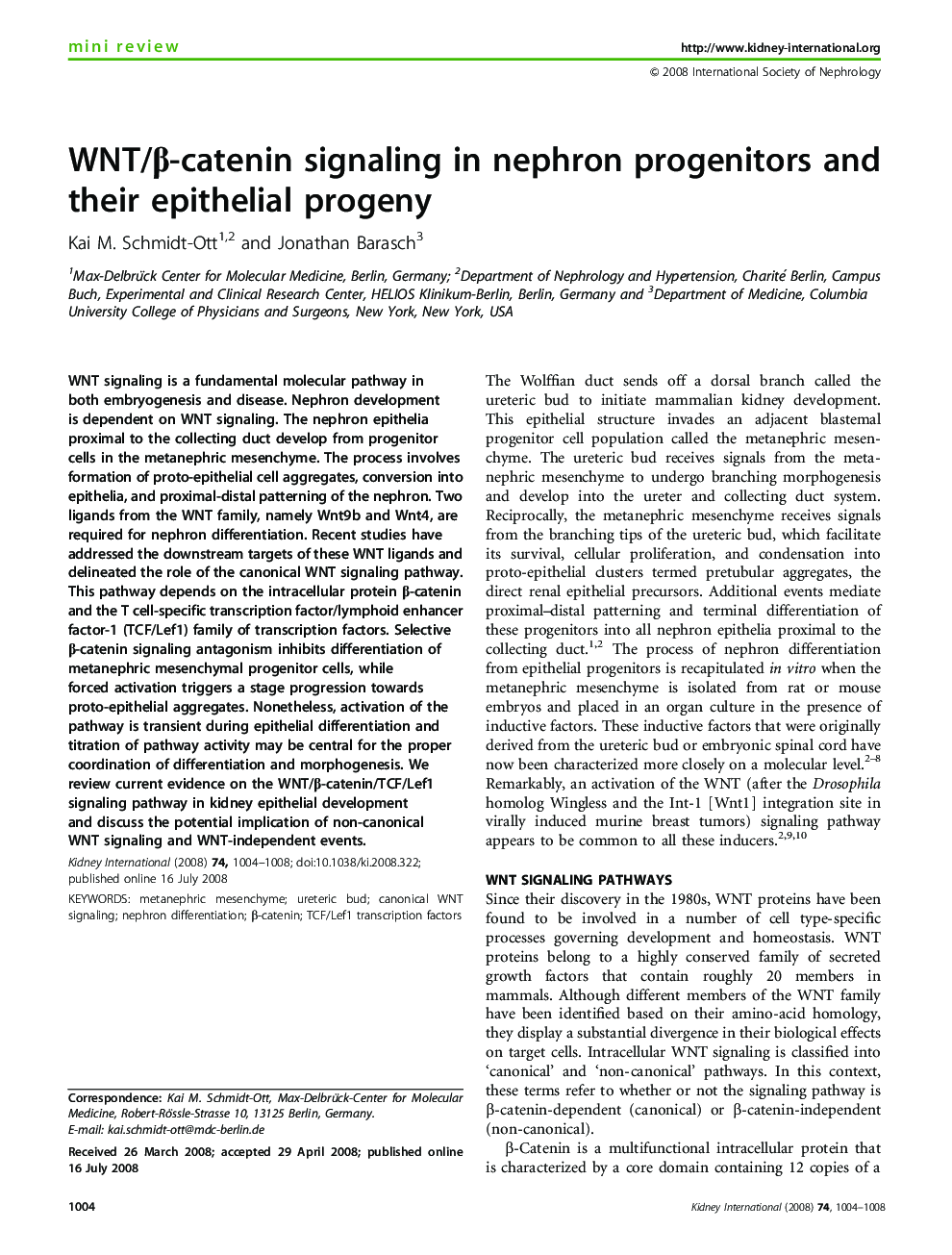 WNT/β-catenin signaling in nephron progenitors and their epithelial progeny