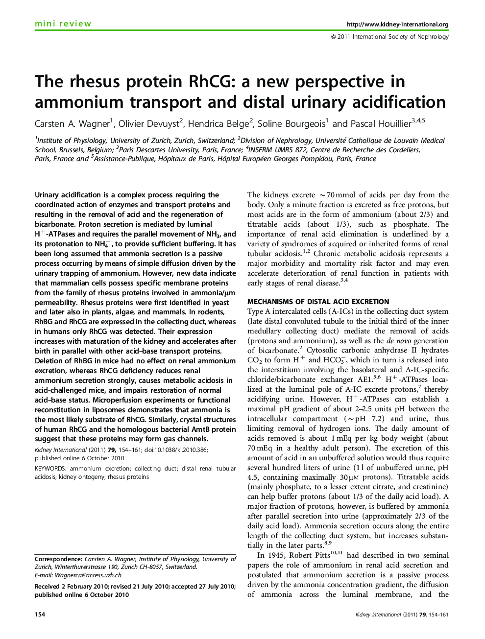 The rhesus protein RhCG: a new perspective in ammonium transport and distal urinary acidification 