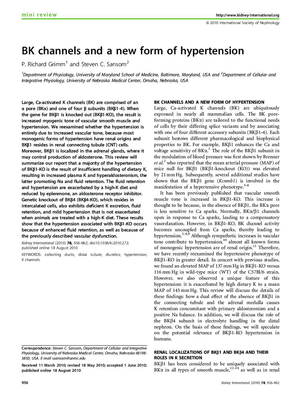 BK channels and a new form of hypertension 