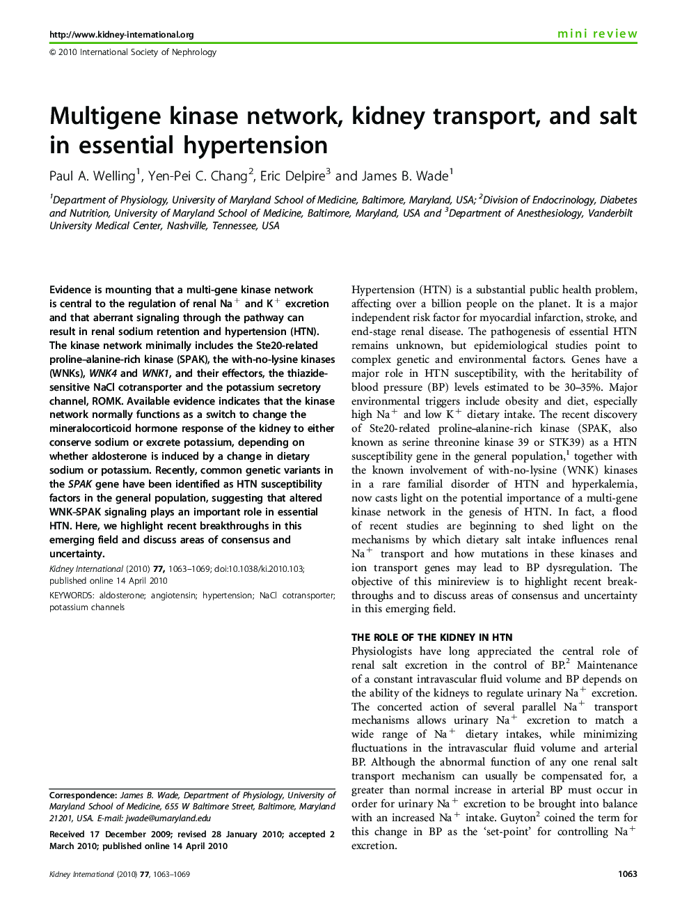 Multigene kinase network, kidney transport, and salt in essential hypertension