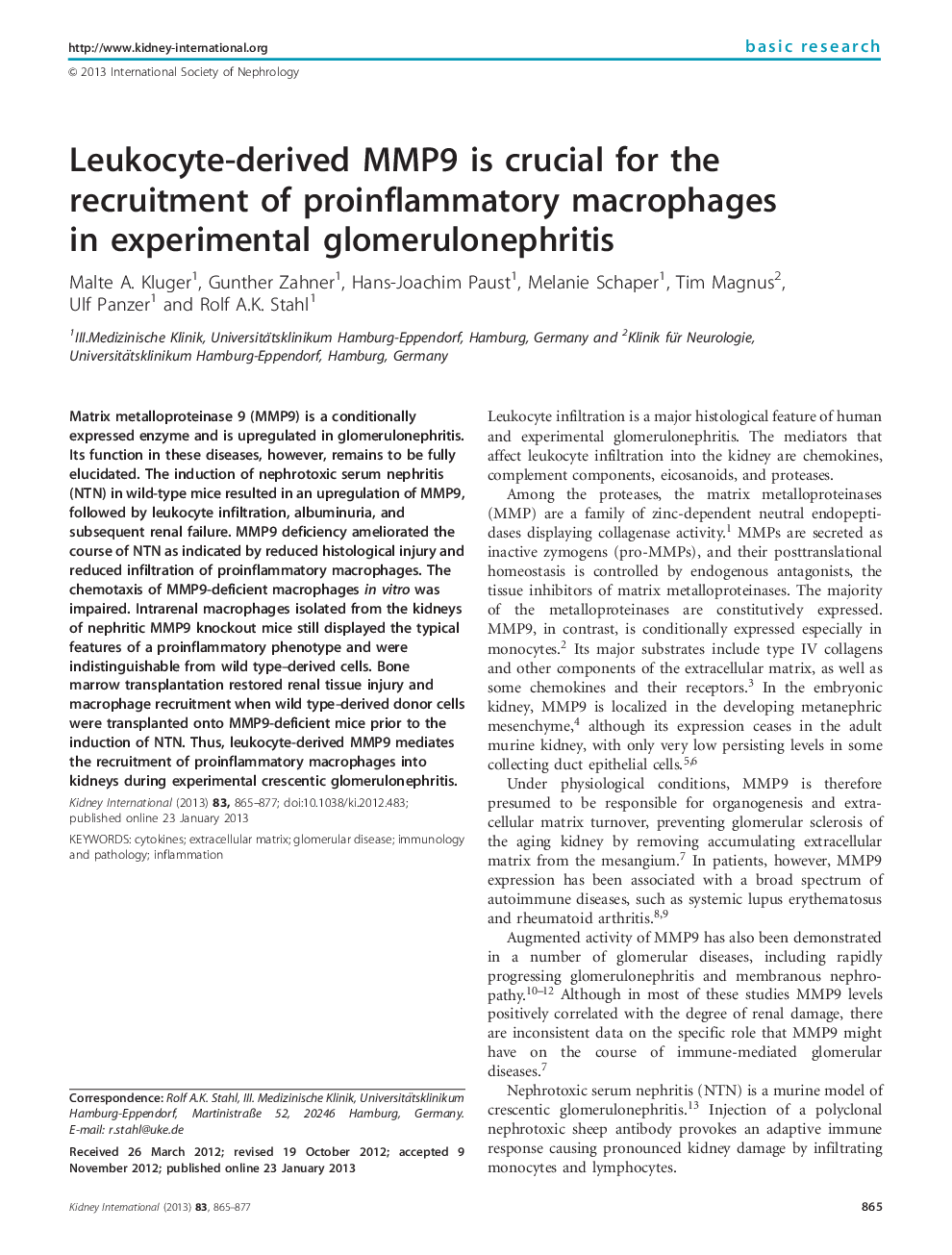 Leukocyte-derived MMP9 is crucial for the recruitment of proinflammatory macrophages in experimental glomerulonephritis