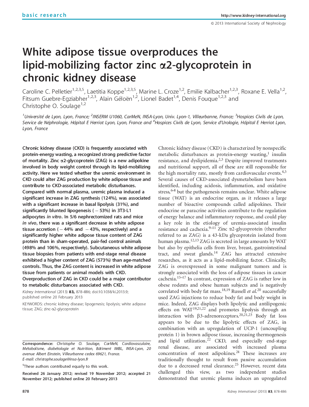 White adipose tissue overproduces the lipid-mobilizing factor zinc α2-glycoprotein in chronic kidney disease 