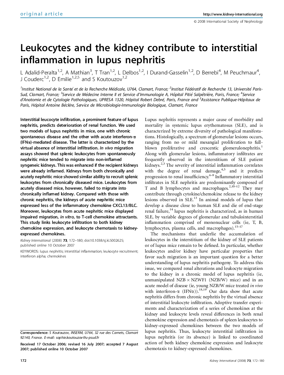 Leukocytes and the kidney contribute to interstitial inflammation in lupus nephritis