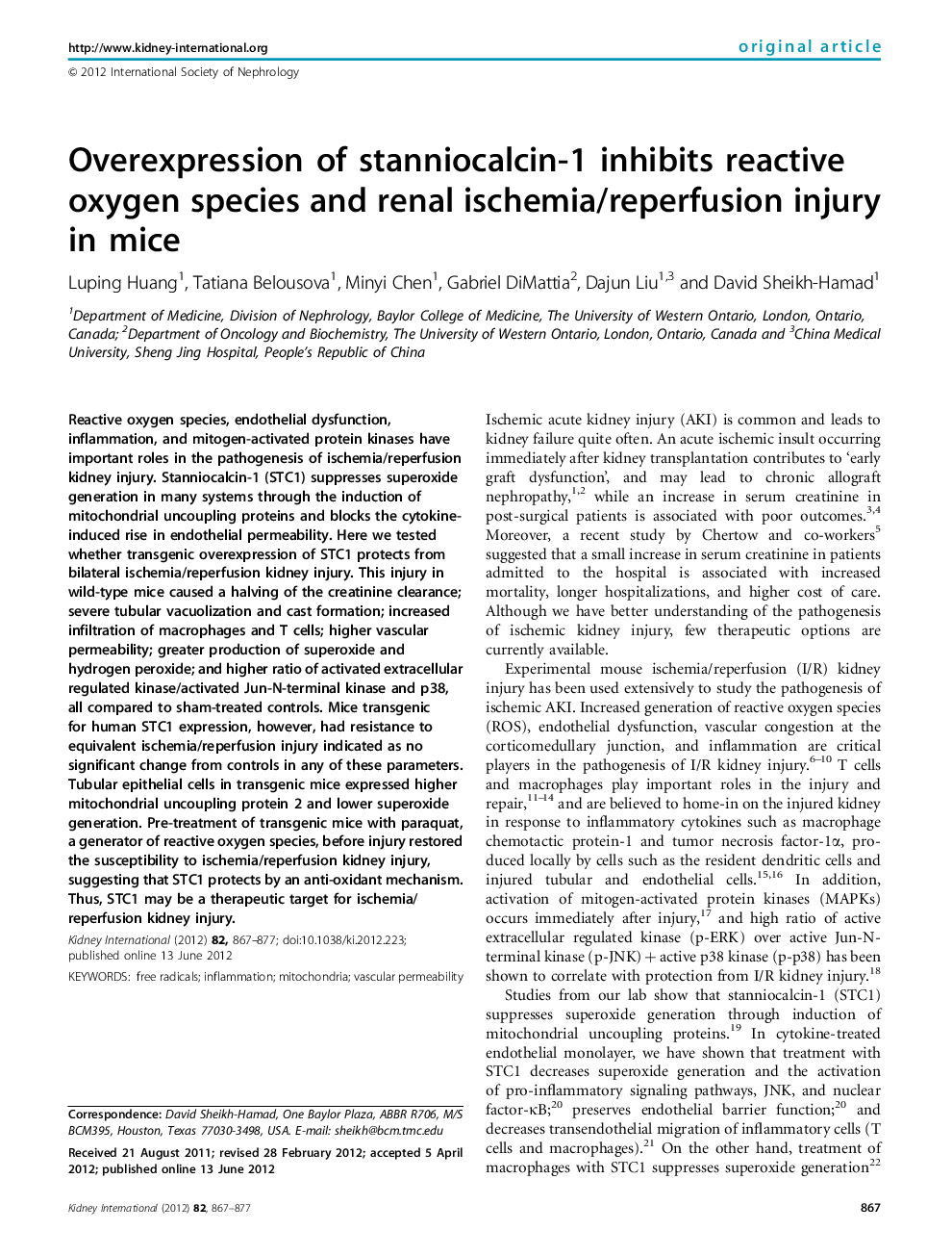 Overexpression of stanniocalcin-1 inhibits reactive oxygen species and renal ischemia/reperfusion injury in mice 