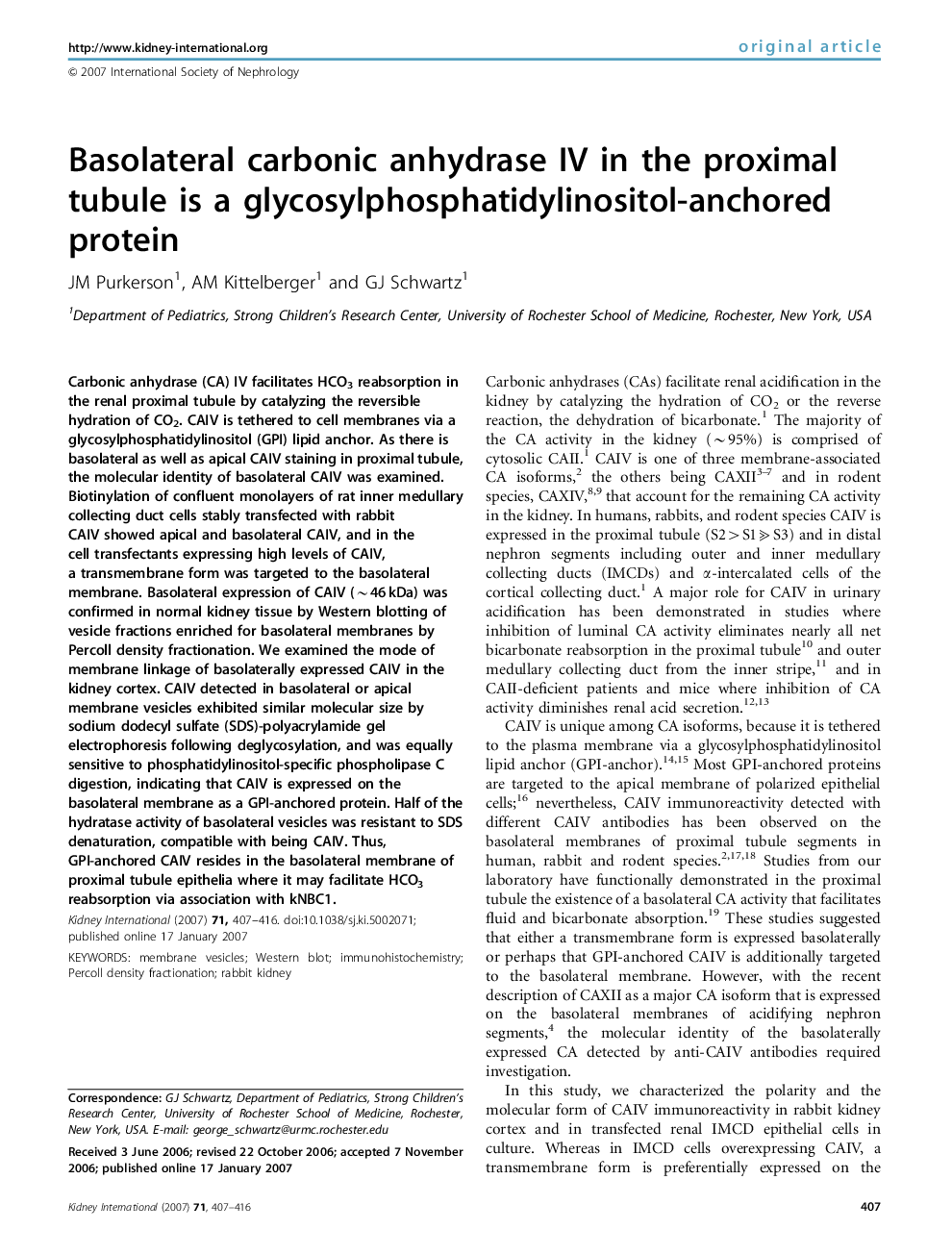 Basolateral carbonic anhydrase IV in the proximal tubule is a glycosylphosphatidylinositol-anchored protein