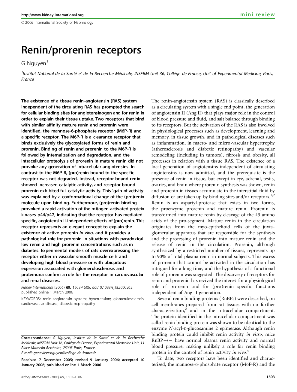 Renin/prorenin receptors