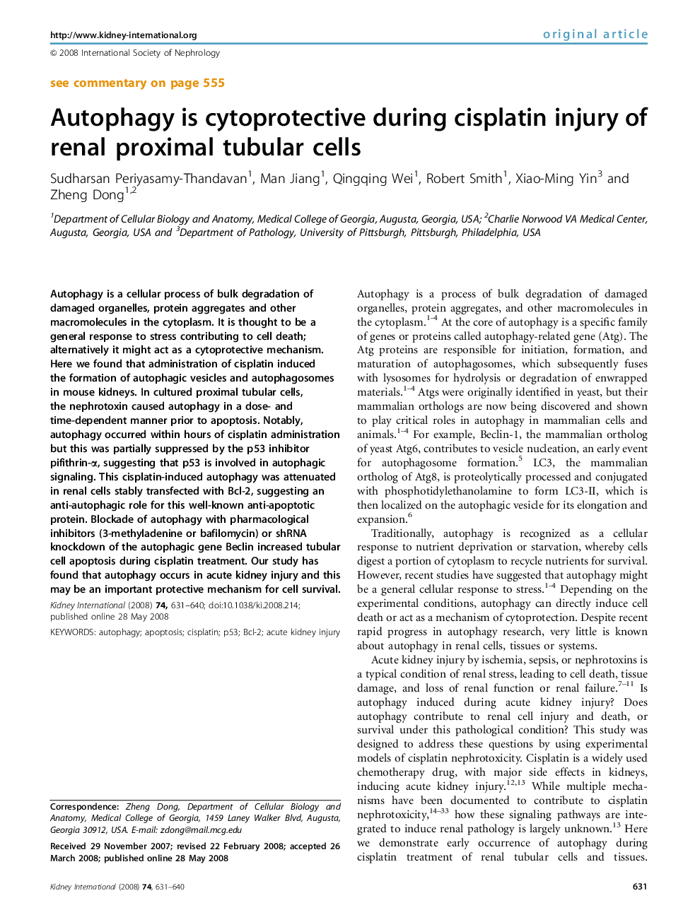 Autophagy is cytoprotective during cisplatin injury of renal proximal tubular cells