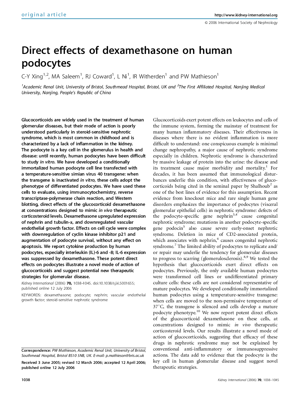 Direct effects of dexamethasone on human podocytes