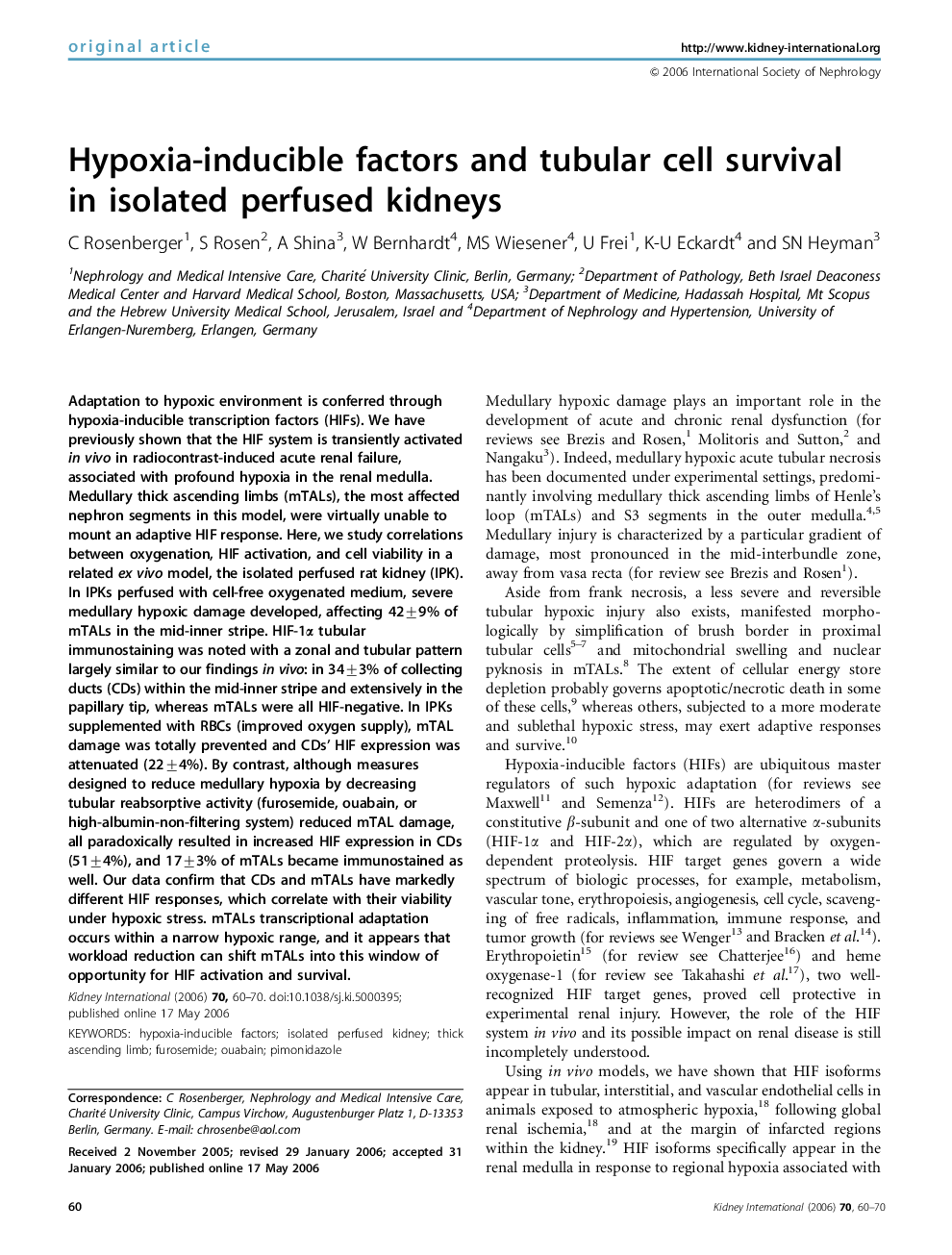 Hypoxia-inducible factors and tubular cell survival in isolated perfused kidneys