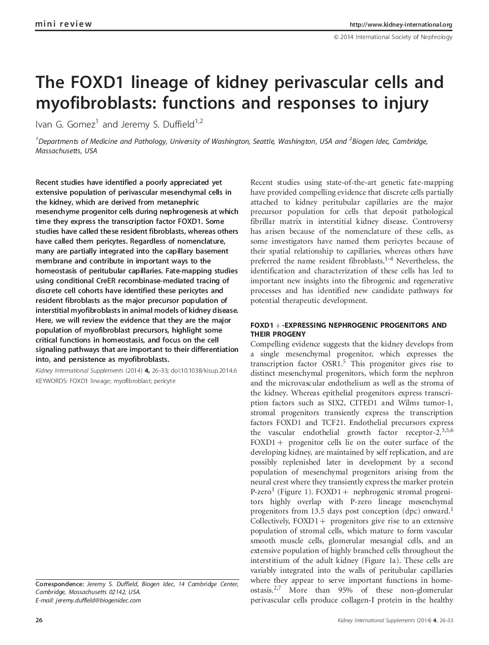 The FOXD1 lineage of kidney perivascular cells and myofibroblasts: functions and responses to injury 