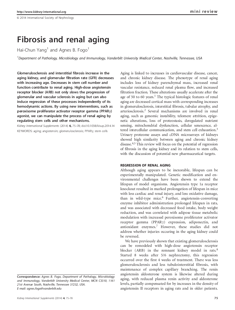 Fibrosis and renal aging 