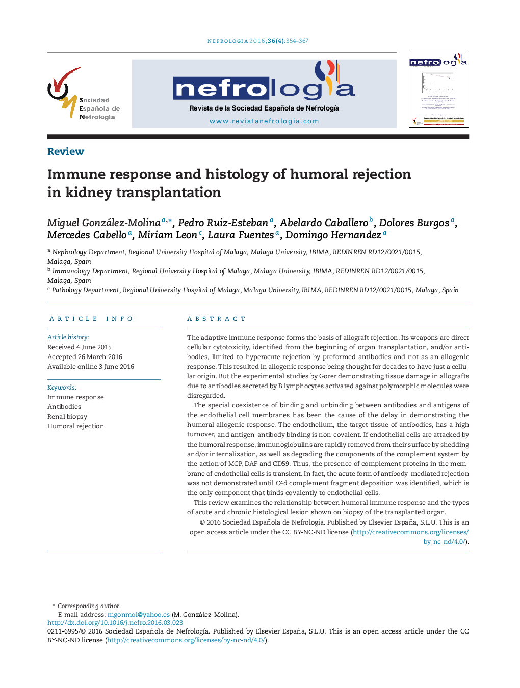 Immune response and histology of humoral rejection in kidney transplantation