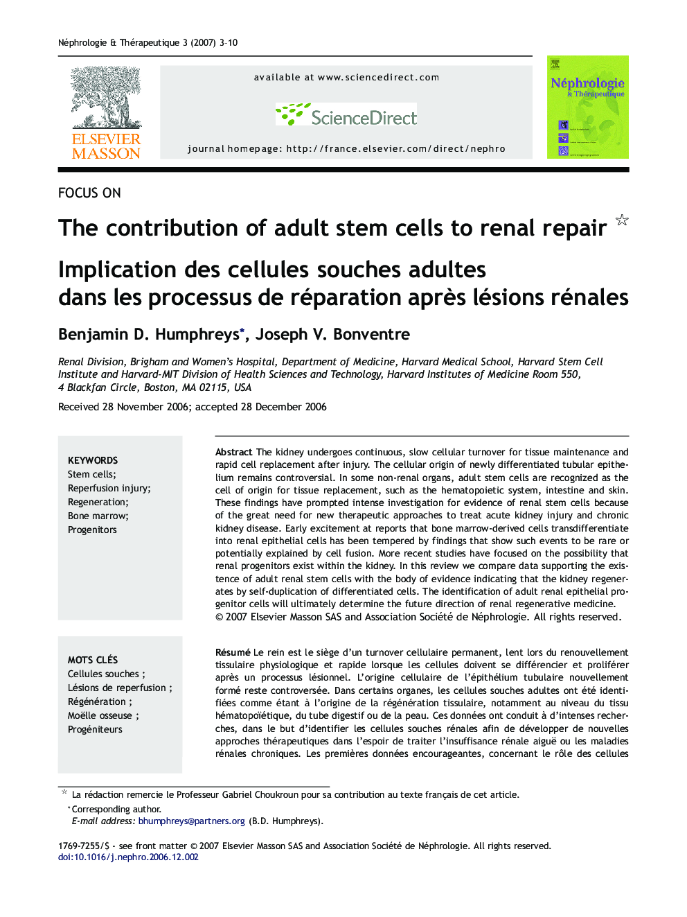 The contribution of adult stem cells to renal repair 