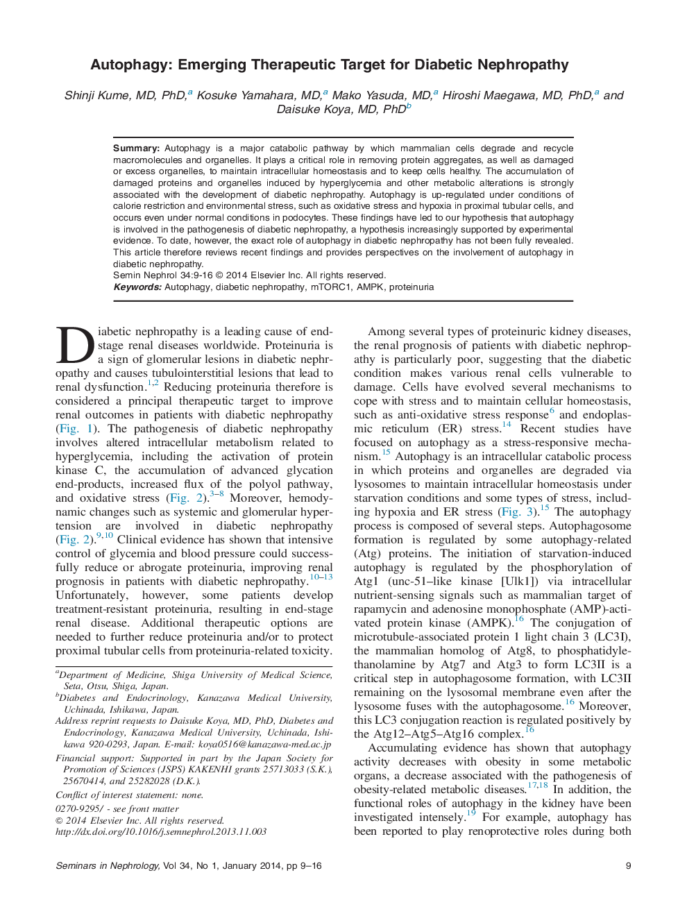 Autophagy: Emerging Therapeutic Target for Diabetic Nephropathy