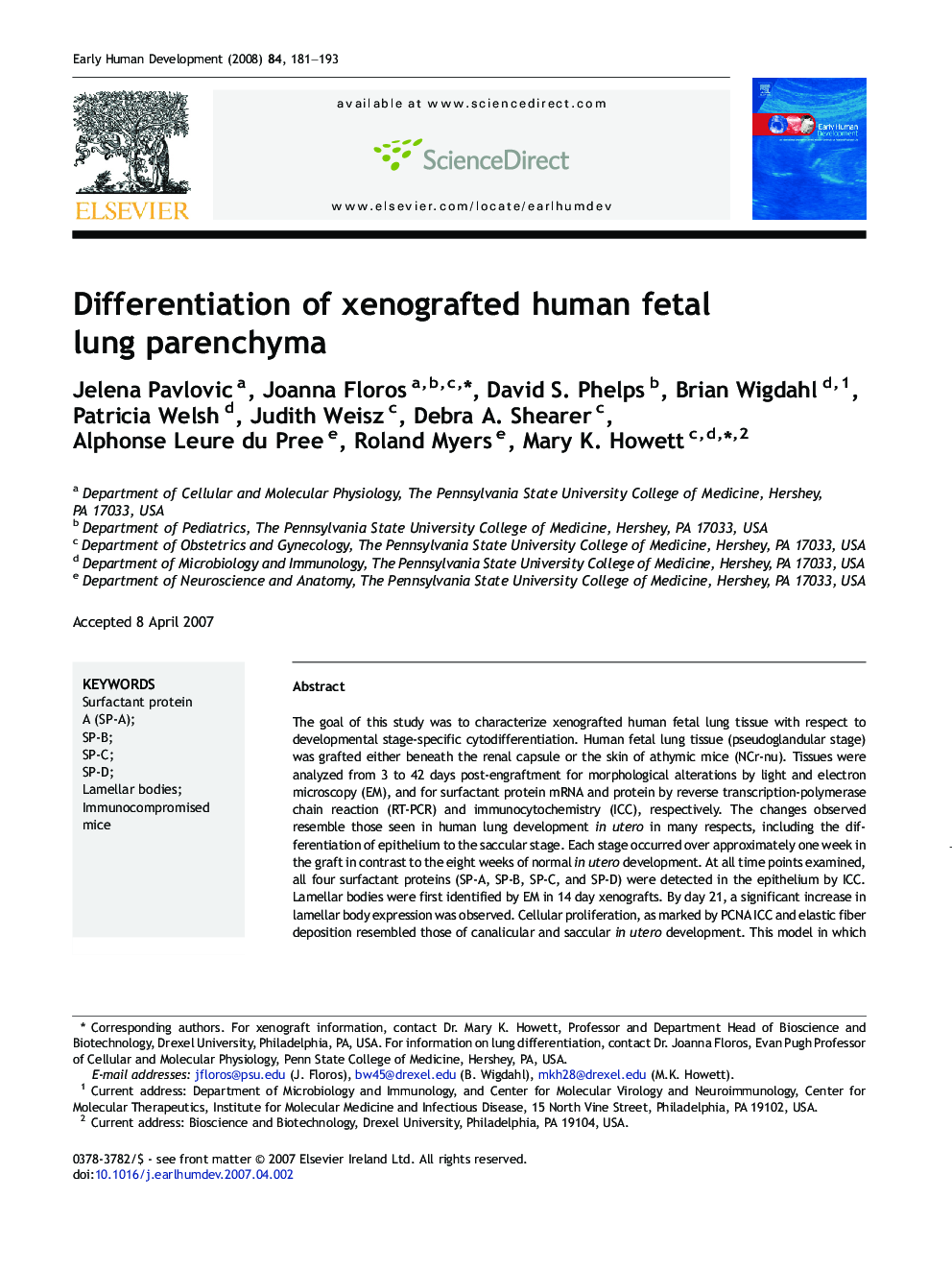 Differentiation of xenografted human fetal lung parenchyma