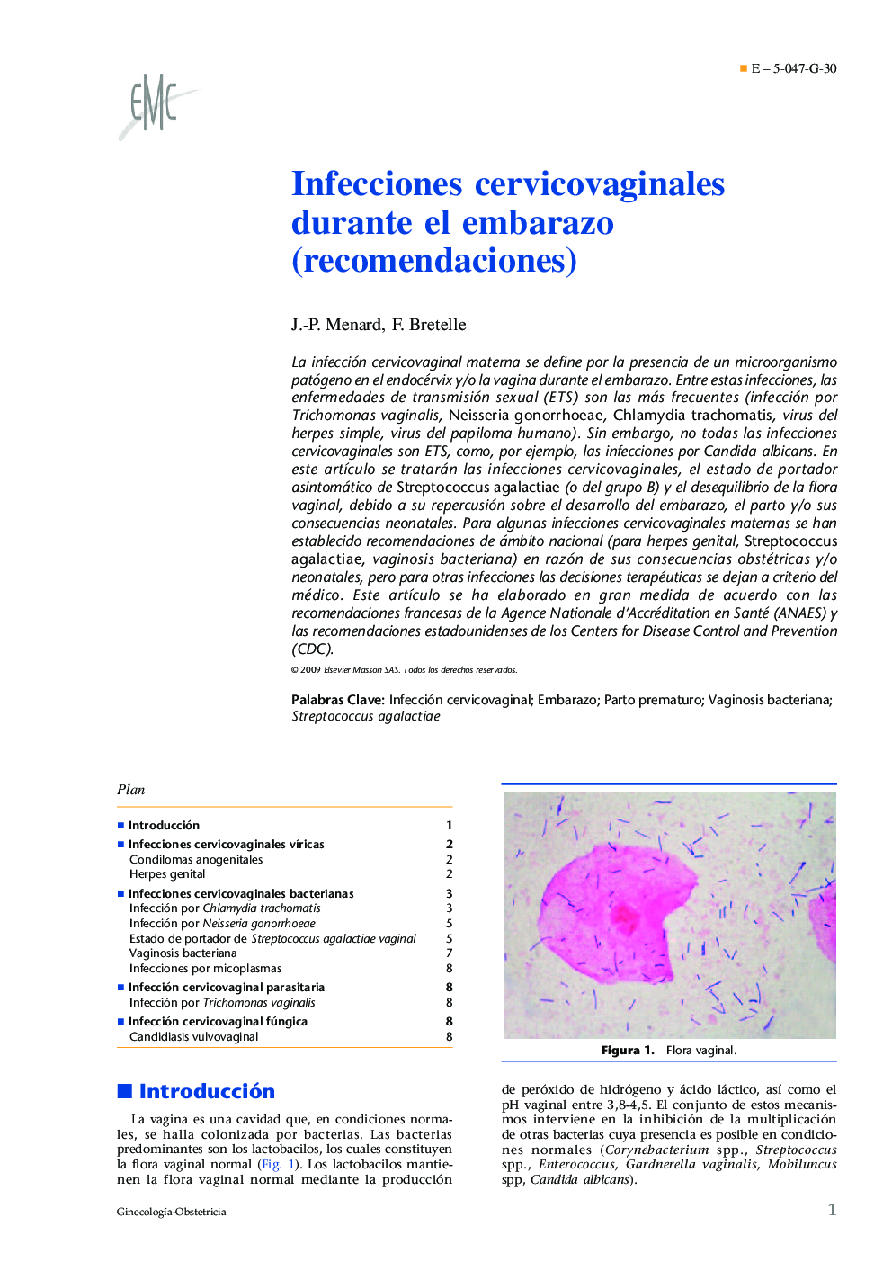 Infecciones cervicovaginales durante el embarazo (recomendaciones)