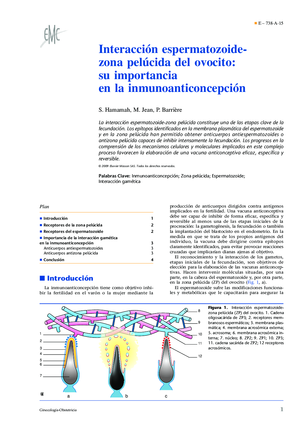 Interacción espermatozoide-zona pelúcida del ovocito: su importancia en la inmunoanticoncepción