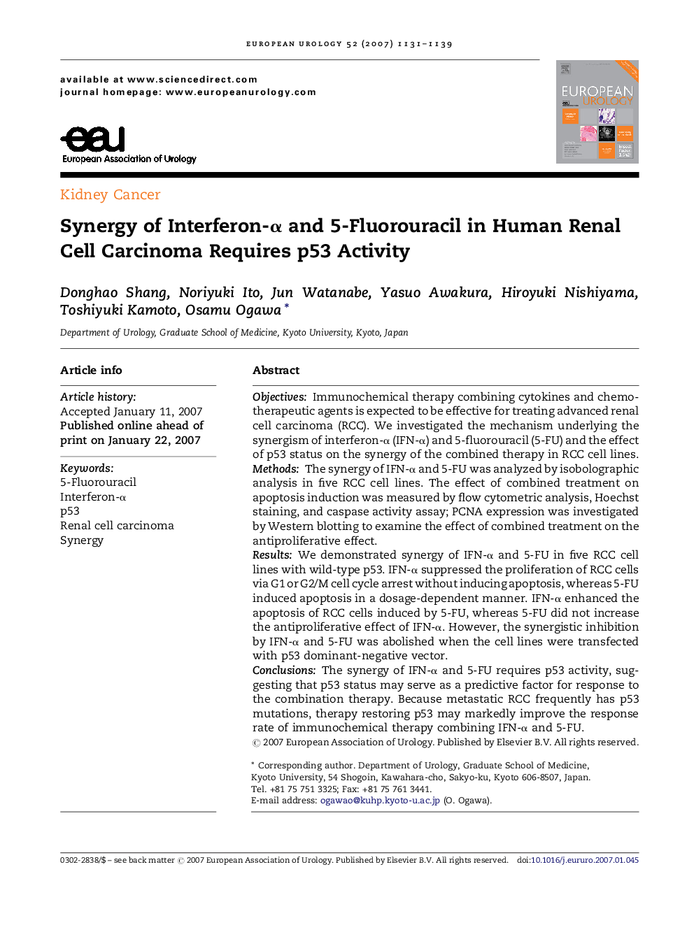 Synergy of Interferon-Î± and 5-Fluorouracil in Human Renal Cell Carcinoma Requires p53 Activity