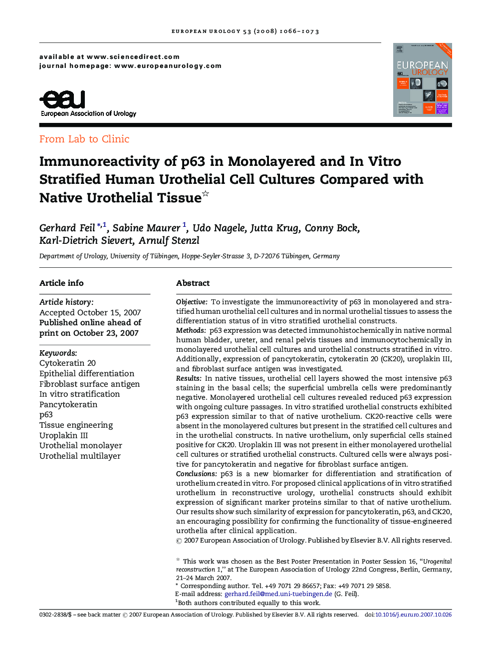 Immunoreactivity of p63 in Monolayered and In Vitro Stratified Human Urothelial Cell Cultures Compared with Native Urothelial Tissue 