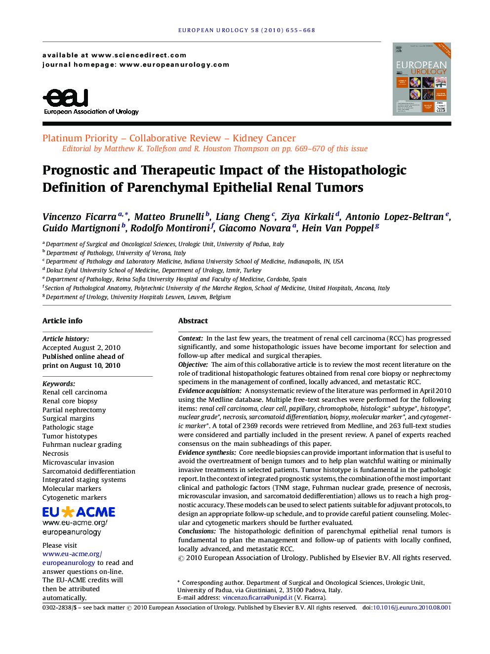 Prognostic and Therapeutic Impact of the Histopathologic Definition of Parenchymal Epithelial Renal Tumors 