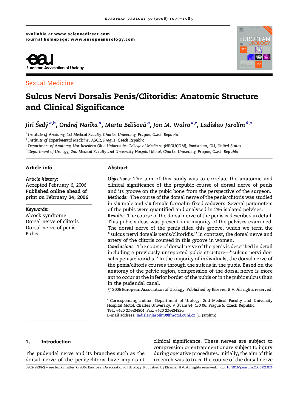 Sulcus Nervi Dorsalis Penis/Clitoridis: Anatomic Structure and Clinical Significance