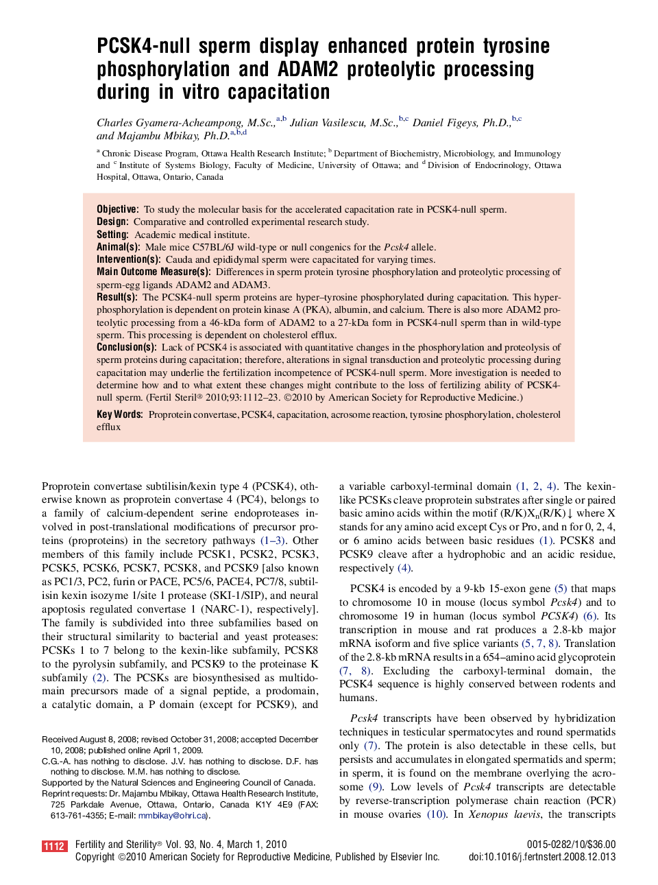 PCSK4-null sperm display enhanced protein tyrosine phosphorylation and ADAM2 proteolytic processing during in vitro capacitation 