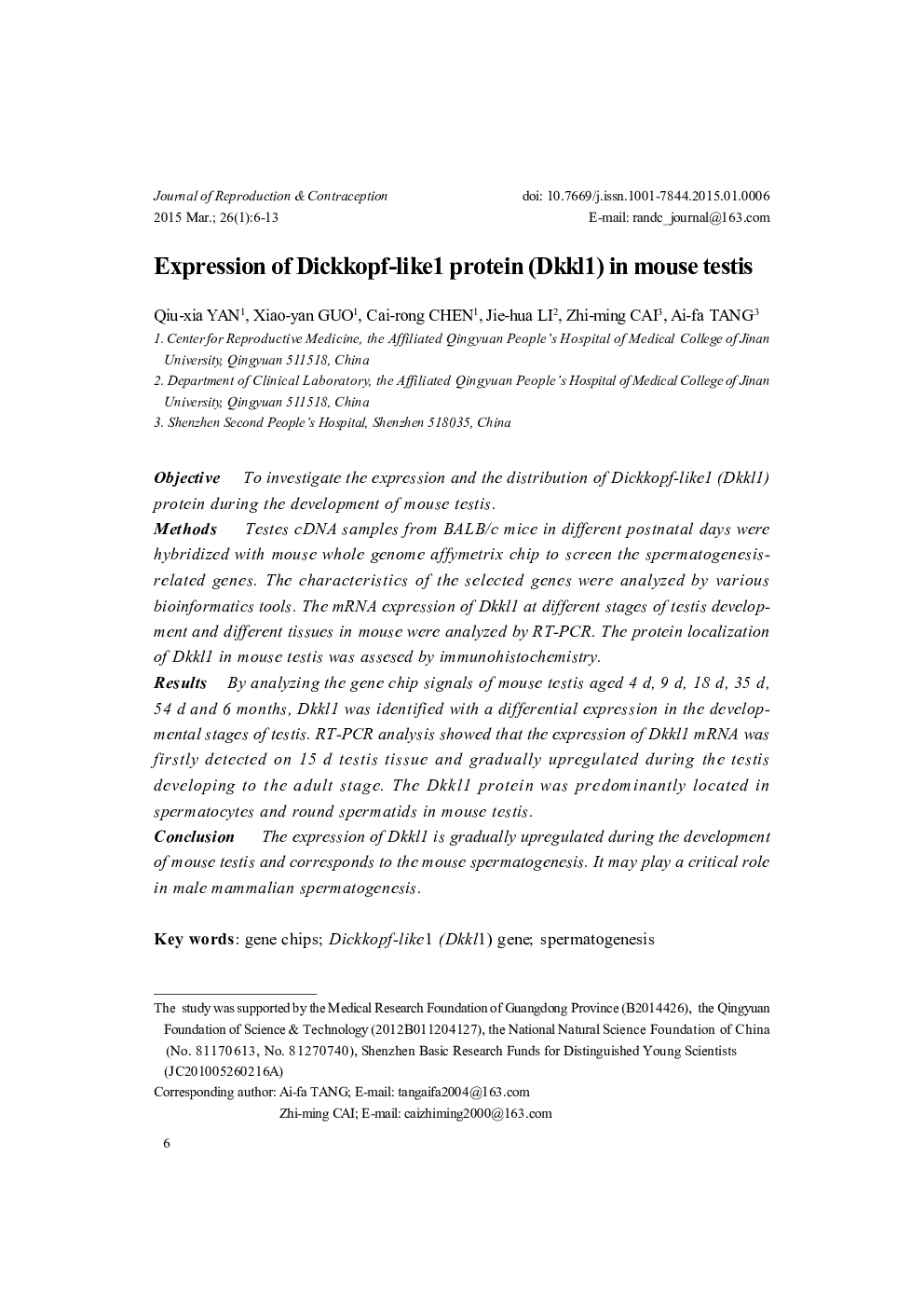 Expression of Dickkopf-like1 protein (Dkkl1) in mouse testis 