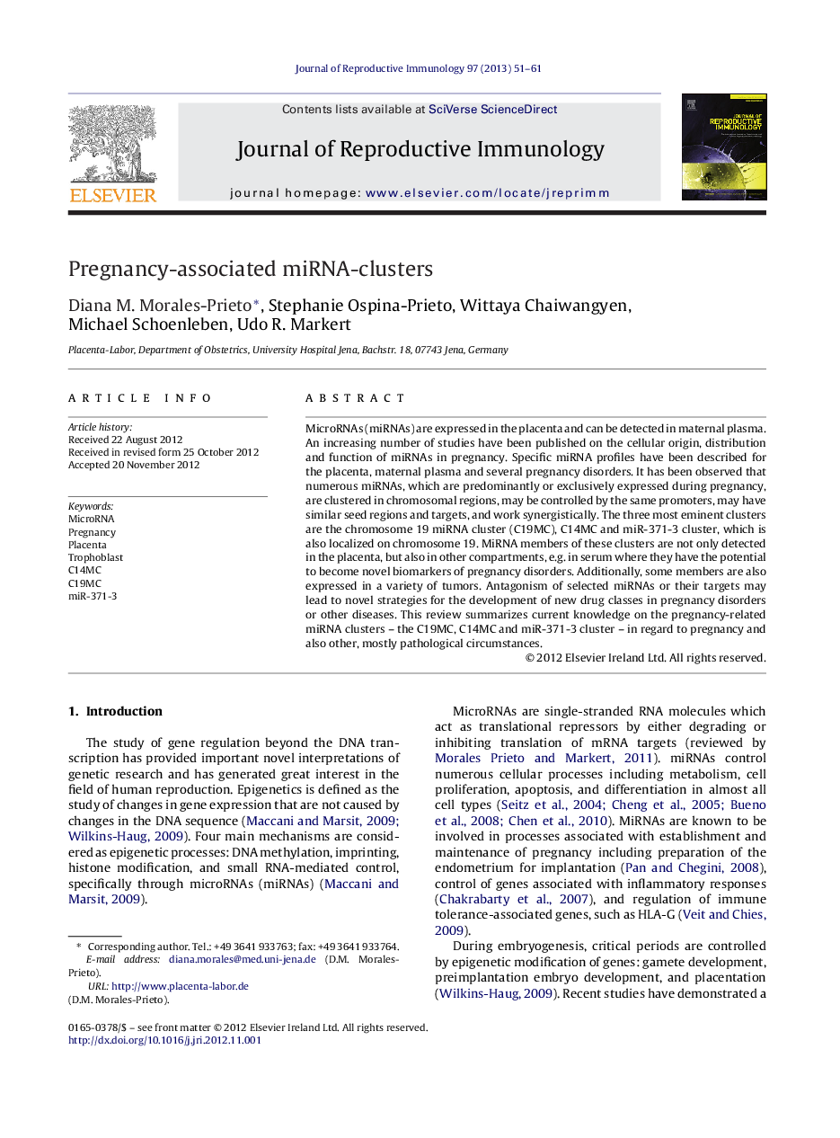 Pregnancy-associated miRNA-clusters