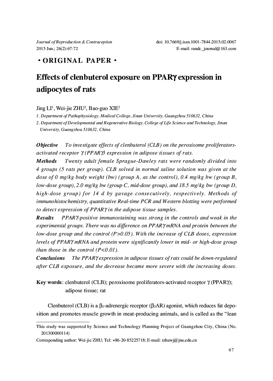 Effects of clenbuterol exposure on PPARγ expression in adipocytes of rats 