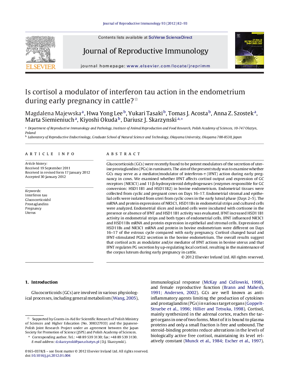 Is cortisol a modulator of interferon tau action in the endometrium during early pregnancy in cattle? 