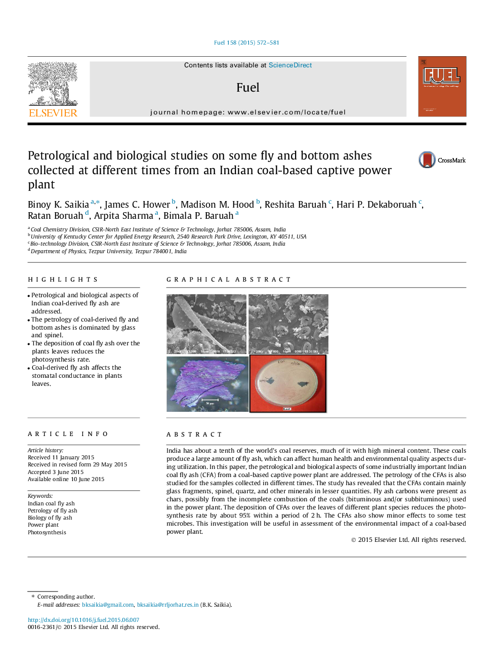 Estudio de la morfologÃ­a de organelas en espermatozoides móviles: correlación con parámetros seminales y el Ã­ndice de fragmentación del ADN