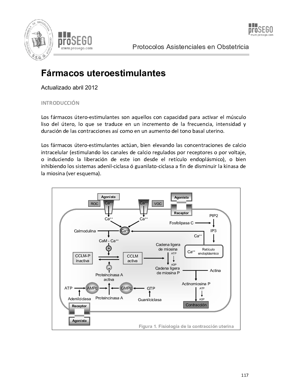 Fármacos uteroestimulantes