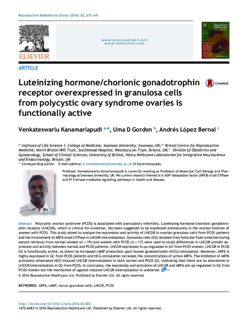 Luteinizing hormone/chorionic gonadotrophin receptor overexpressed in granulosa cells from polycystic ovary syndrome ovaries is functionally active