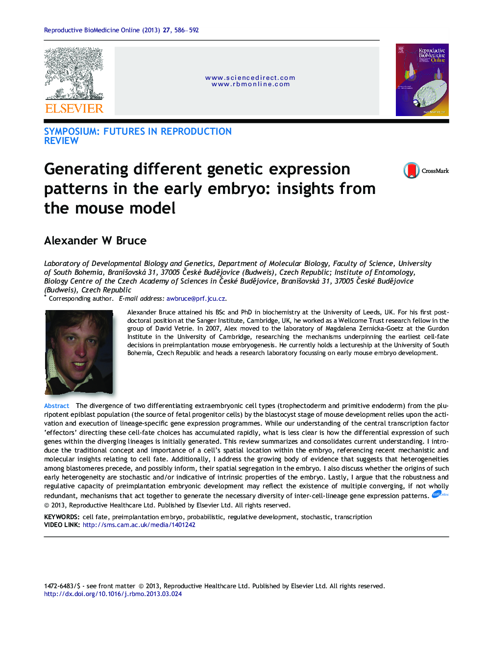 Generating different genetic expression patterns in the early embryo: insights from the mouse model 