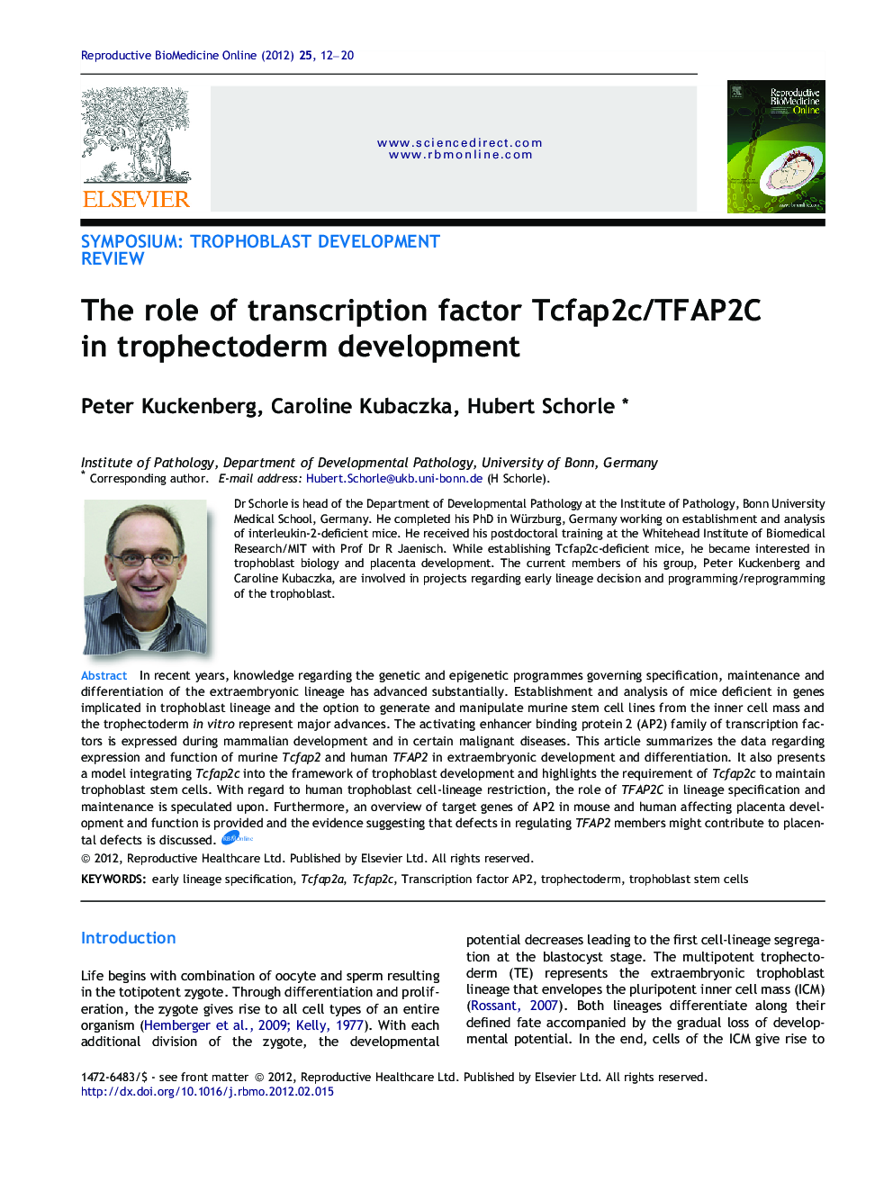 The role of transcription factor Tcfap2c/TFAP2C in trophectoderm development 